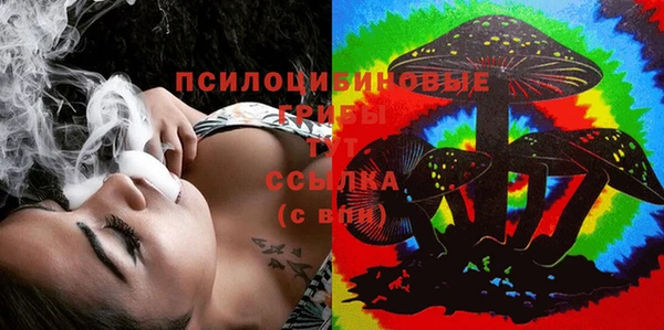 Альфа ПВП Осинники