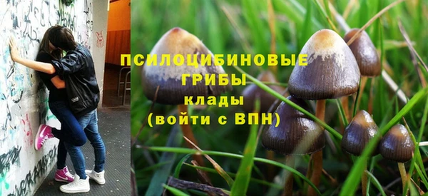 а пвп мука Абдулино