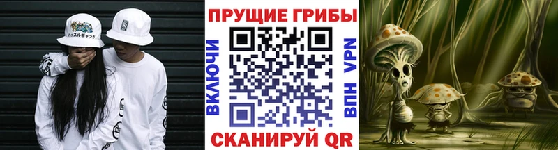 Псилоцибиновые грибы Psilocybine cubensis  Иваново 